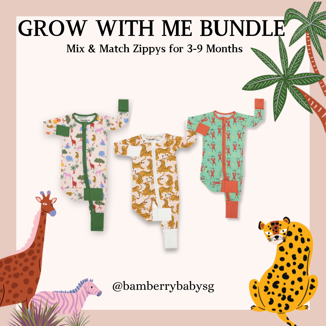 Grow With Me Bundle (Zippy) - 3M/6M/9M