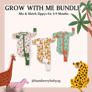 Grow With Me Bundle (Zippy) - 3M/6M/9M